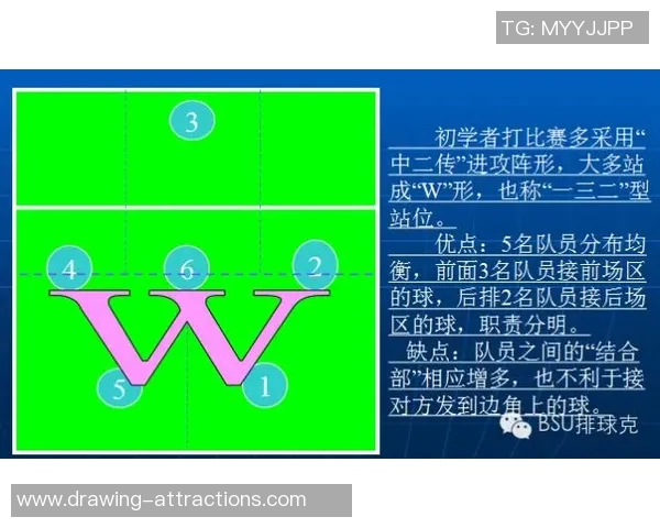 深圳排球队在锦标赛中的速度优势与战术分析