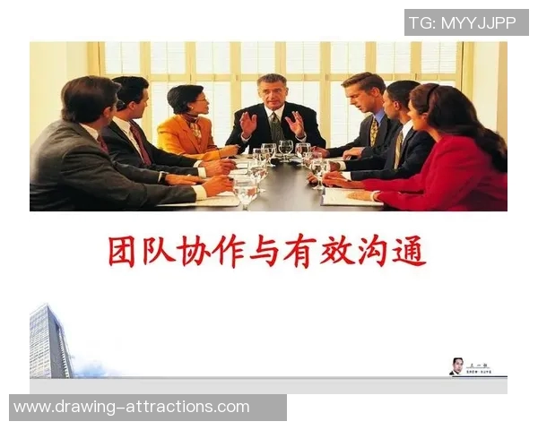 深圳羽毛球队在世界锦标赛中的团队协作表现分析与点评