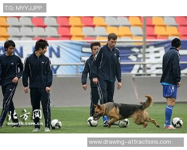 狼狗足球明星的真实姓名与成就揭秘，带你了解这位传奇球员的故事