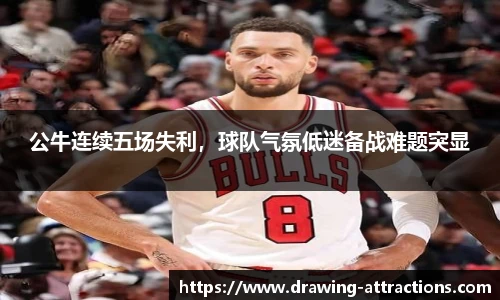 B体育bsports
