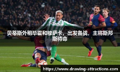 bsports官网入口