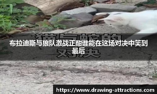 bsports官网