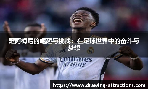 bsports官网